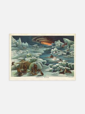 An illustrated print of the Arctic Zone