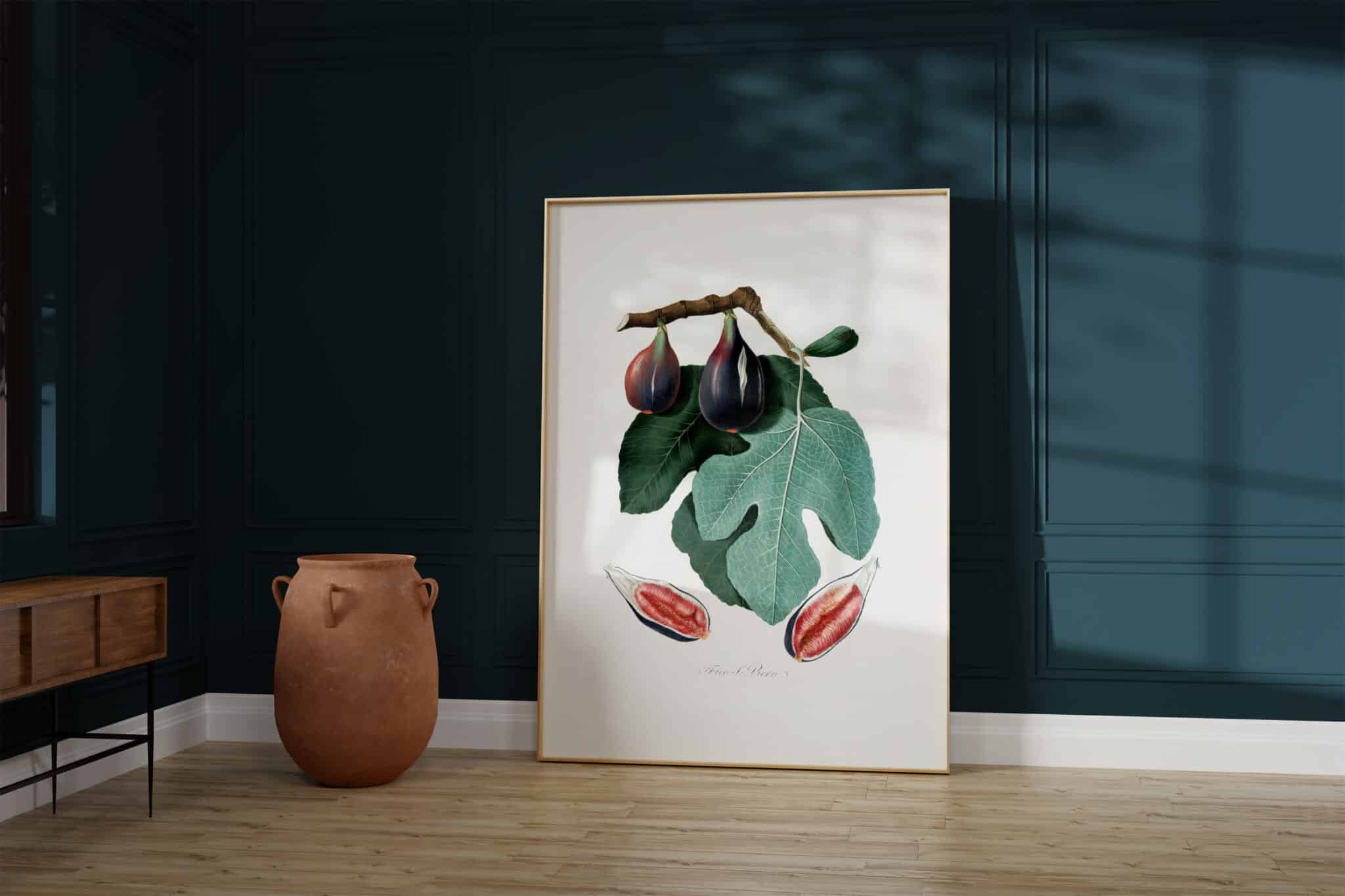 A framed print of a botanical illustration of a fig