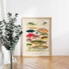 A framed print of the Great Barrier Reef Fishes