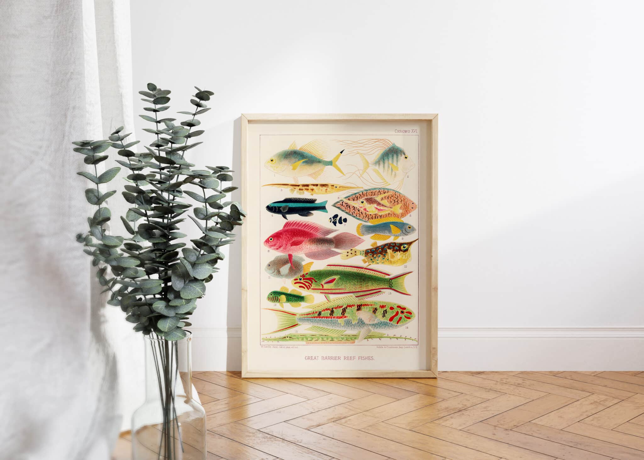 A framed print of the Great Barrier Reef Fishes