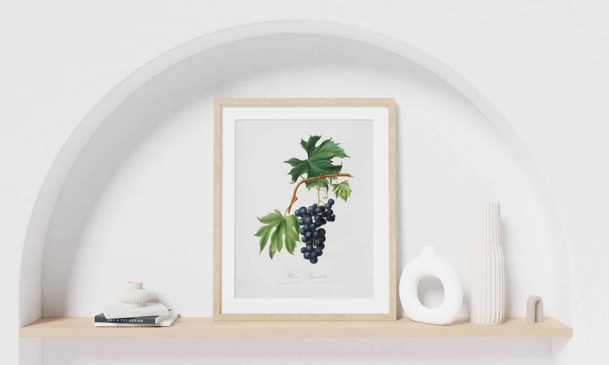 A framed print of a botanical illustration of grapes