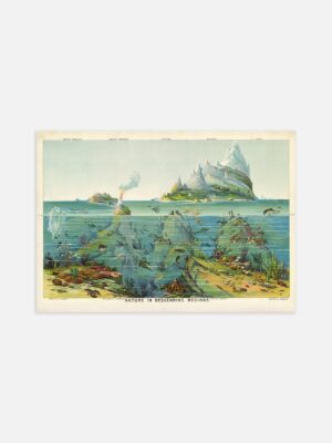 An illustrated print of Nature in Descending Regions