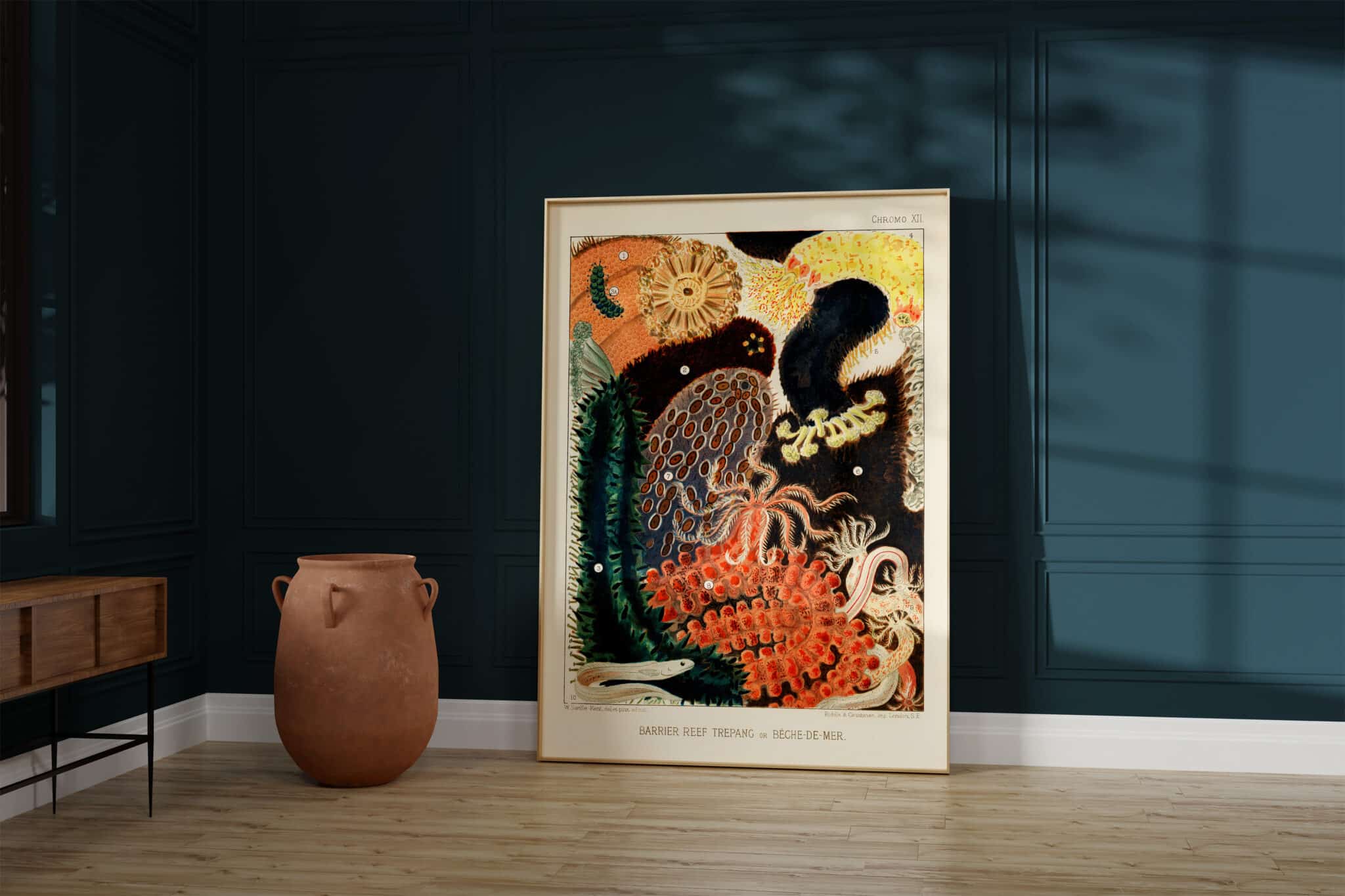 A framed print of the Great Barrier Reef Trepang