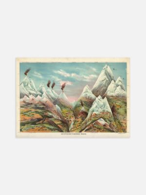 An illustrated print of the View of Nature in Ascending Regions