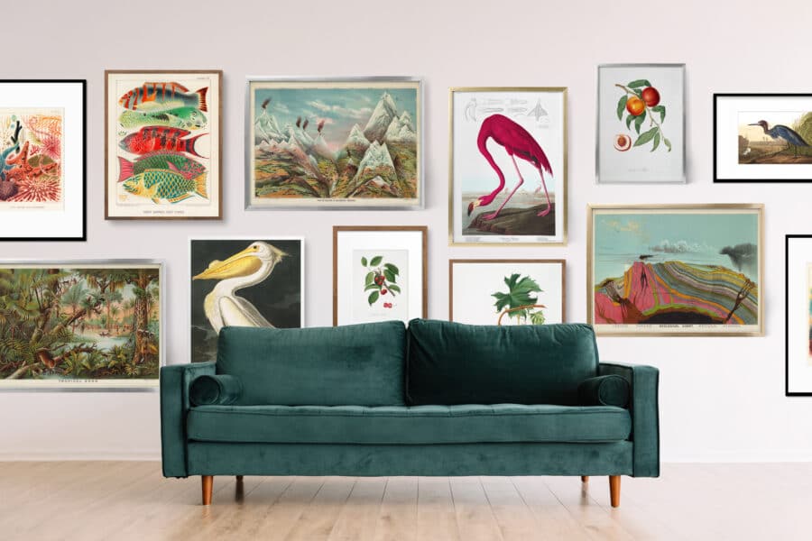 A collection of historical prints on gallery wall in a living room