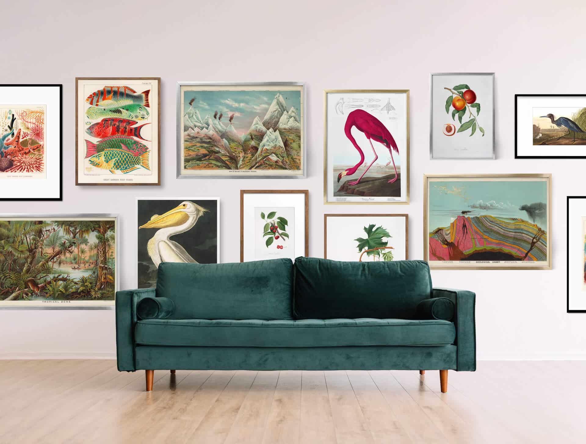 A collection of historical prints on gallery wall in a living room