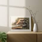 A framed print of John James Audubon's American Avocet