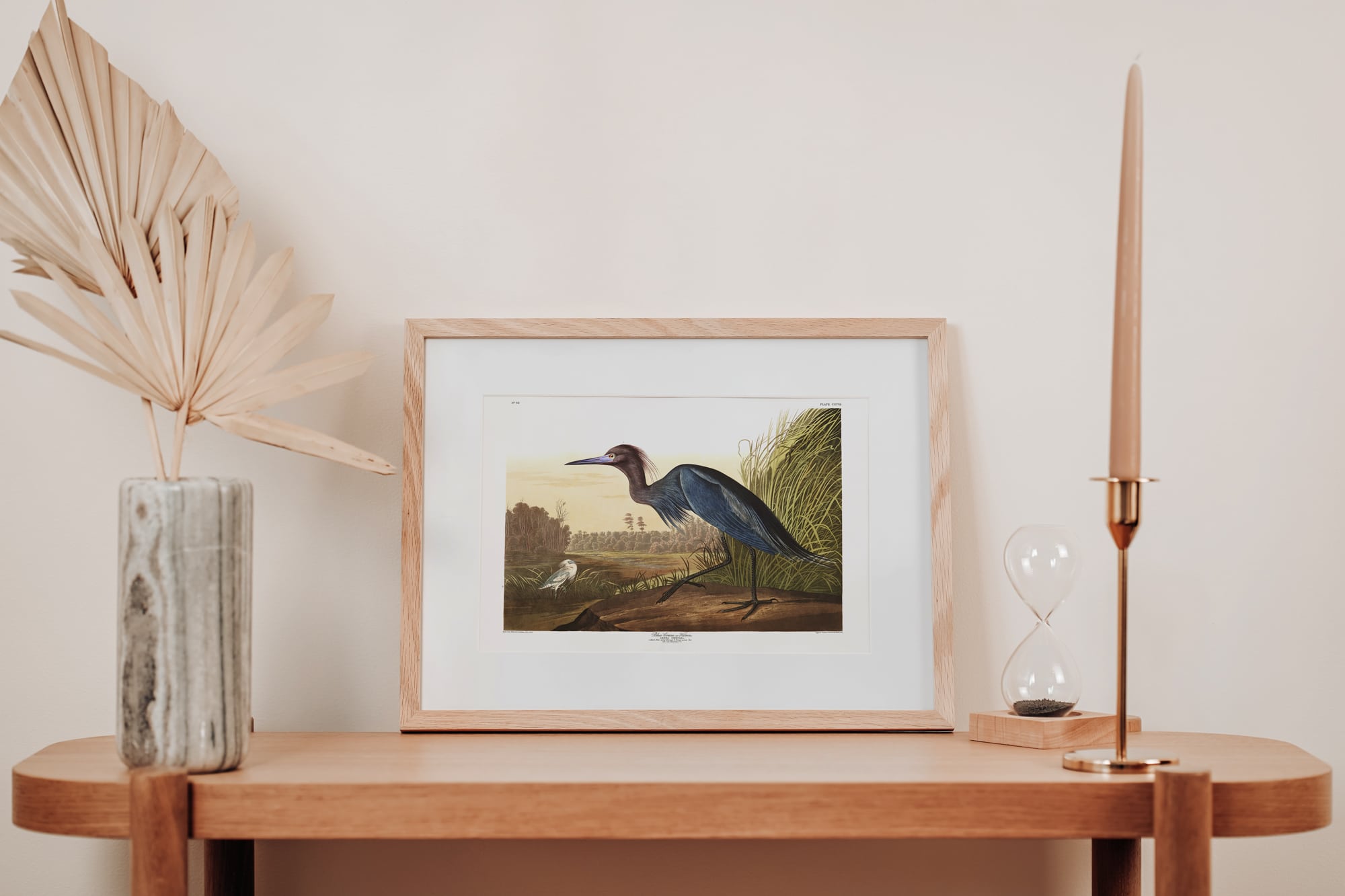 A framed print of John James Audubon's Blue Crane